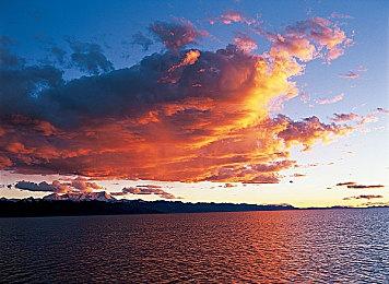 重温美妙节奏 《尼尔：伪装者》发布原声唱片预告